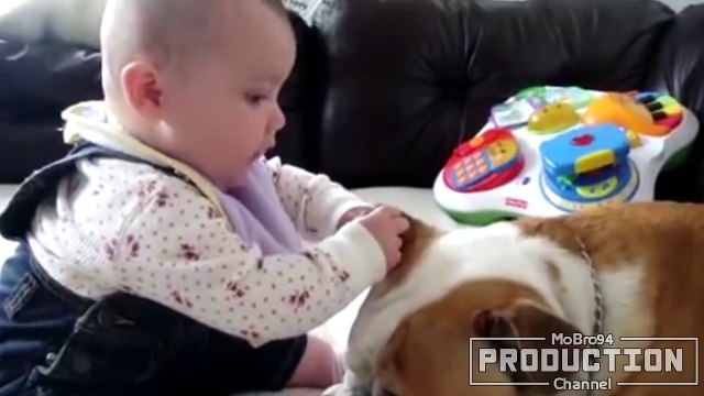 Babies annoying dogs – Cute and funny baby & dog compilation
