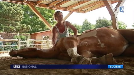 Équicoaching : quand cheval rime avec développement personnel