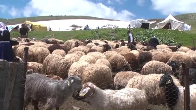 Doğu'da Yayla Mevsimi Başladı