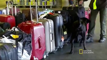 ALERTA AEROPUERTO  Colombia 2017 CAPITULO 18  BOGOTÁ EL DORADO