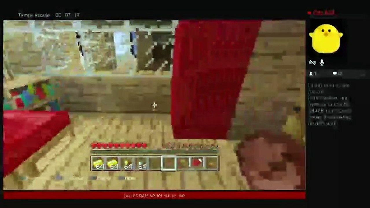 RP sur Minecraft (46)
