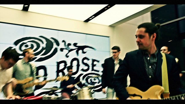 Cold Roses Staying Alive Ain't Easy