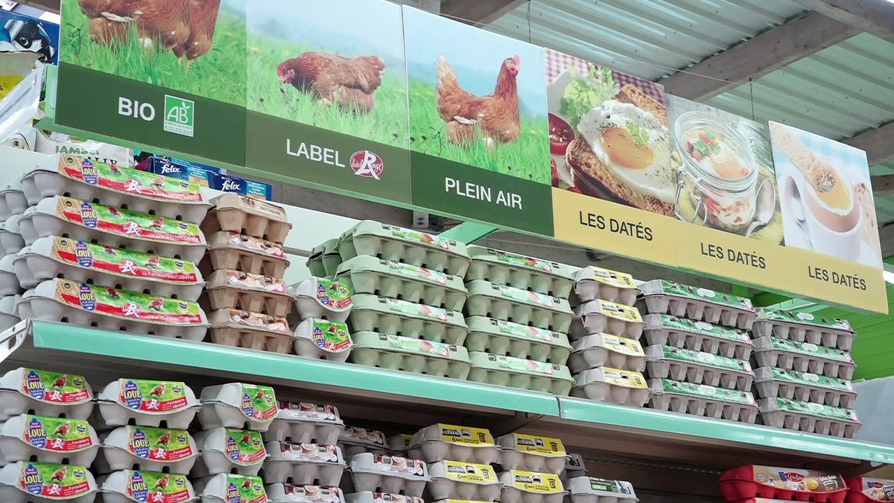 JT breton du mardi 13 juin 2017. Producteur d’œufs et de lait sur les dents