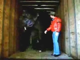 Smokey And The Bandit Ride Again Theatrical Trailer
