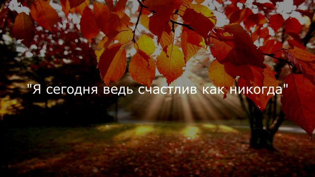 Фонограмма - Я счастлива (Я сегодня ведь счастлив как никогда) - Чеботаревы