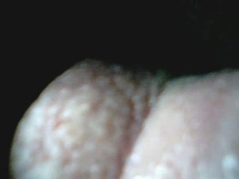 Créature des profondeurs