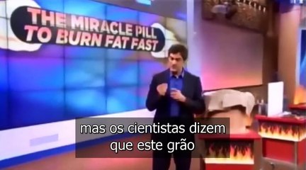 green coffee turbo confira os beneficios do café verde