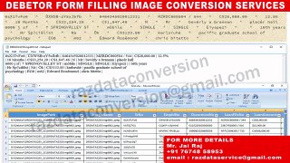 form-filling-image-to-excel-conversion-software-services