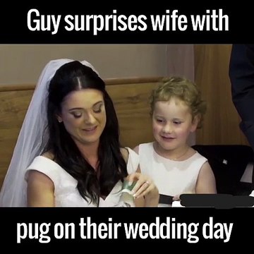 He surprised his new bride with the cutest pug puppy ever