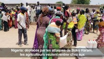 Les agriculteurs du nord-est du Nigeria veulent rentrer chez eux