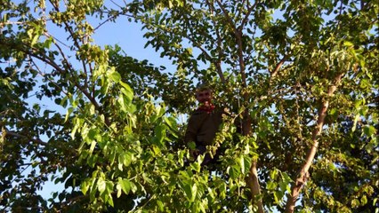 Cevat Sinet Adana Dut