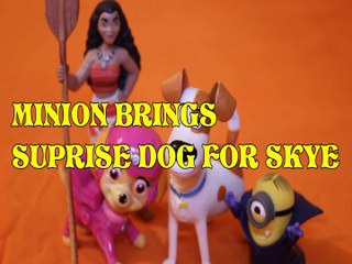 MINION BRINGS SUPRISE DOG FOR SKYE