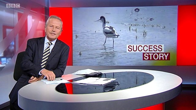 BBC1_Look North (East Yorkshire & Lincolnshire) 13Jun17 - avocets at East Yorkshire nature reserve