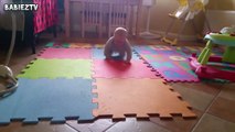 Cute Dogs and Babies Crawling Together - Adorable babies Compilat