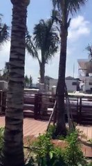 DỰ ÁN SONASEA PHU QUOC