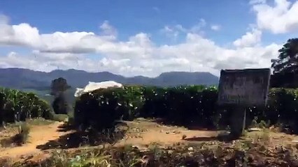 Train Journey in Sri Lanka