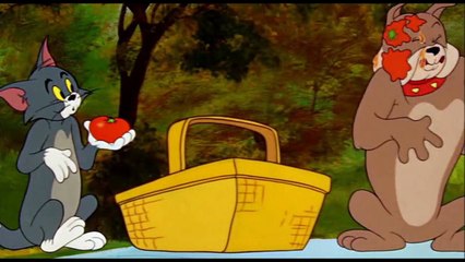 Tom and Jerry, 91 Episode - Pup on a Picnic (1955)