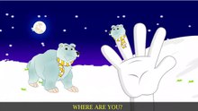Finger Family Bear Family Rhymes _ Animals Cartoon Finger