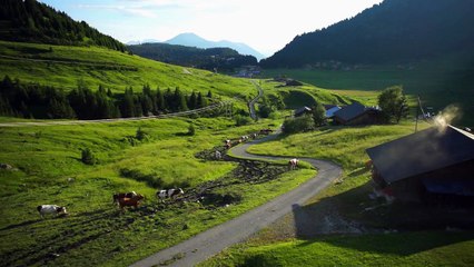 The Seasons In Quincy: Four Portraits Of John Berger - Trailer