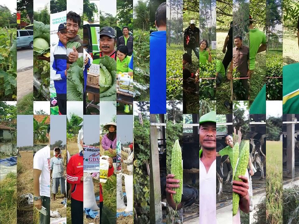 0812-2400-2400 (TSEL ),Obat Tanaman Padi (1)