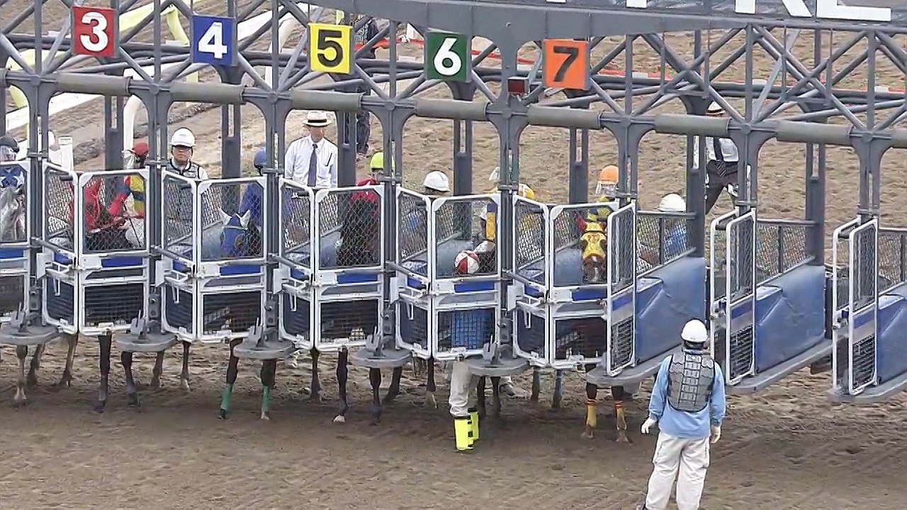 June 6th 2017 Race 4