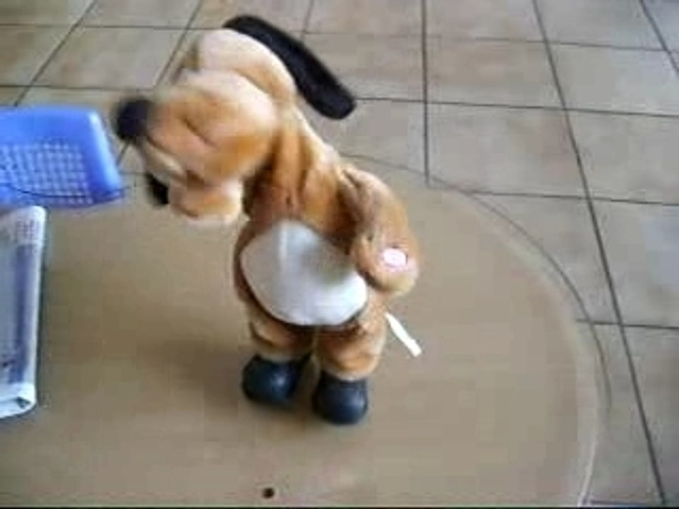 chien