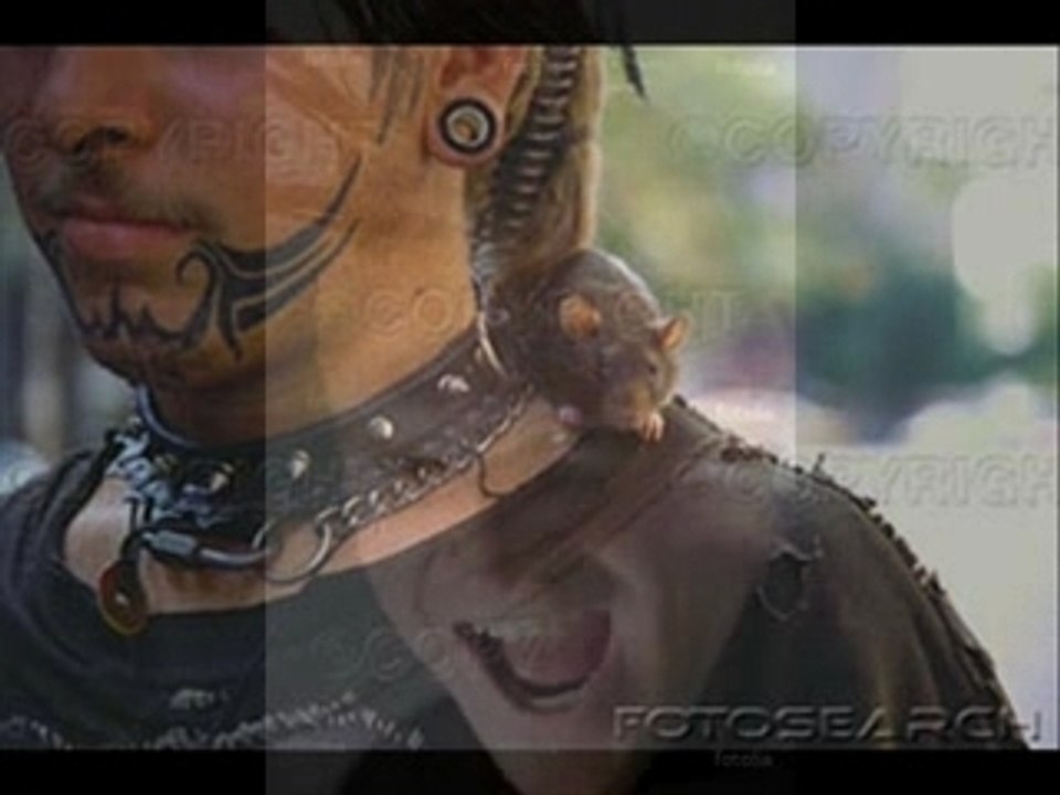 Punk a chiens_0001