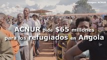 ACNUR pide 65 millones de dólares para los refugiados congoleños en Angola