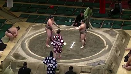 Tır gibi çarpan sumo güreşçisi