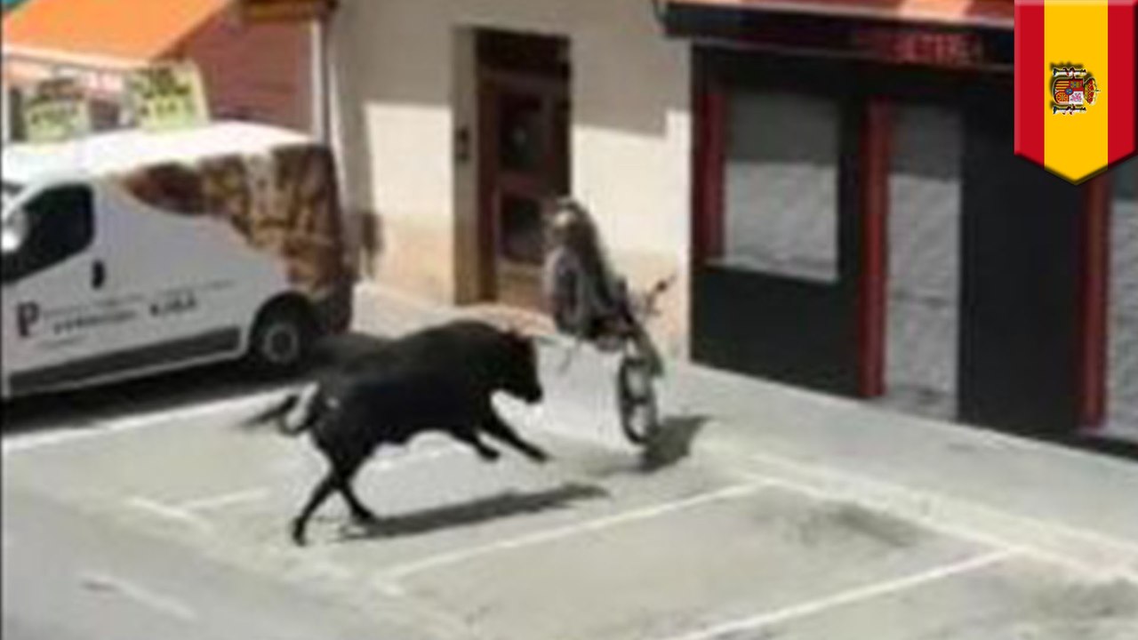 Bull attacks motorcycle: video shows escaped bullfighting black bull destroy motorcycle - TomoNews