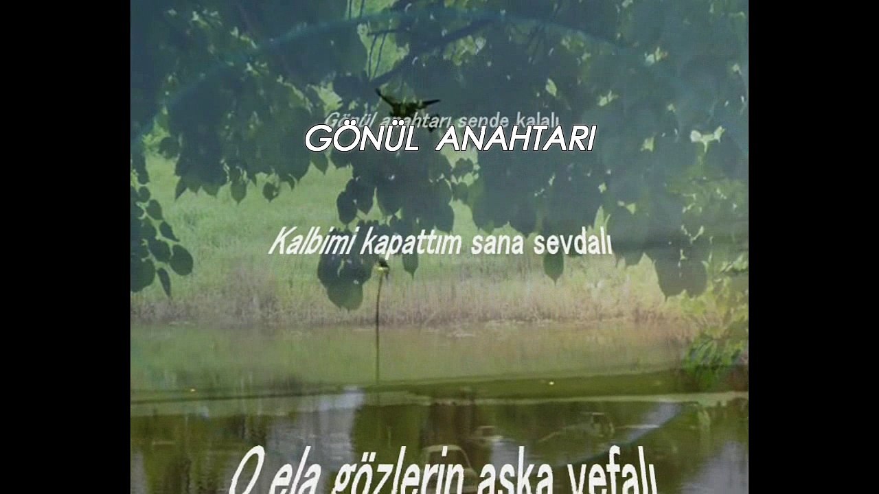 GÖNÜL ANAHTARI Şiir Seslendiren Klip Aynur AVCI