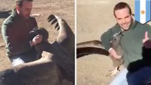 Video shows condor hug man who saved his life and raised him to fly