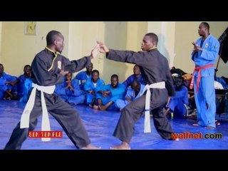 SEN TEMPLE THEME 6 : VOVINAM VIETVODAO