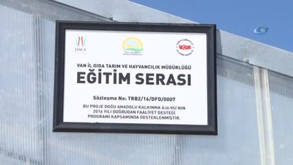 Vanlı Domates Üreticisi Eğitim Serası Kurdu