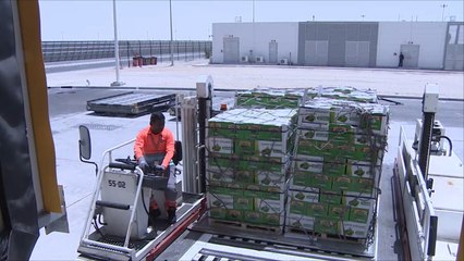 دور بارز للخطوط القطرية في وجه الحصار الغذائي