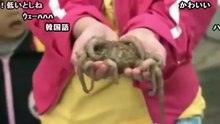 [コメ付き]【訴訟】まいんちゃんの「あら☆どーも」を逆再
