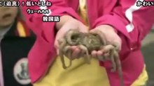 [コメ付き]【訴訟】まいんちゃんの