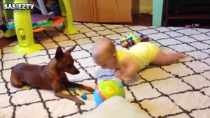 Cute Dogs and Babies Crawling Together - Adorable babies Com
