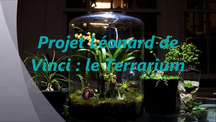 Le terrarium, plus qu'un bocal, une aventure !!