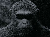 War of the Planet of the Apes: Official Trailer HD VO st bil