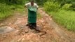 Snake catcher releases hundwerereds of rat snakes, cobras and vipers into Indian forest