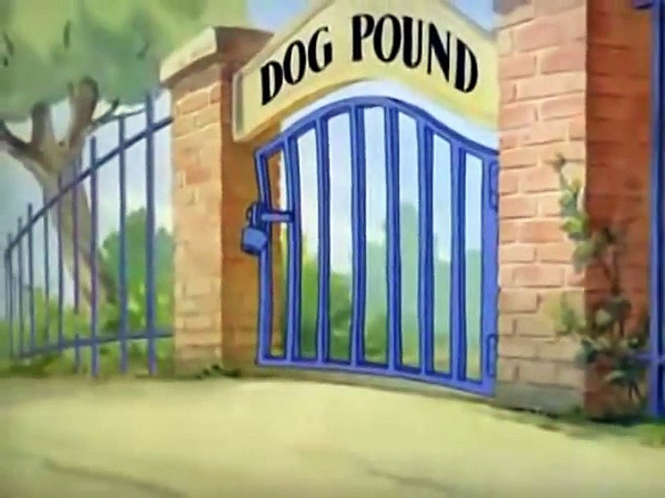 Puttin' on the Dog  | Tom And Jarry