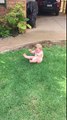 Ce bébé DETESTE être assis dans l'herbe et fait tout pour ne pas la toucher !
