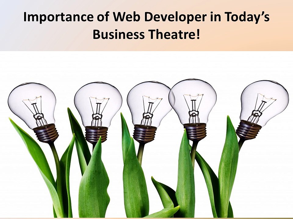 Importance of Web Developer in Today’s Business Theatre!