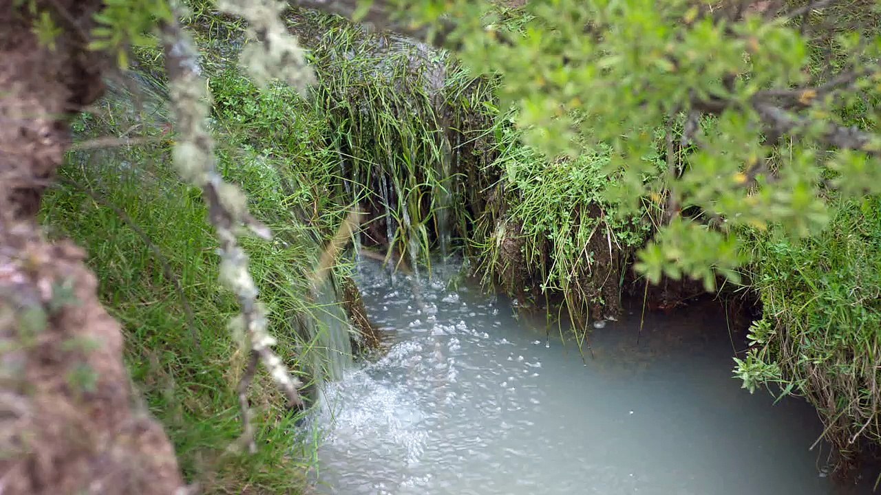 The Untamed / La Région sauvage (2017) - Trailer (French Subs)