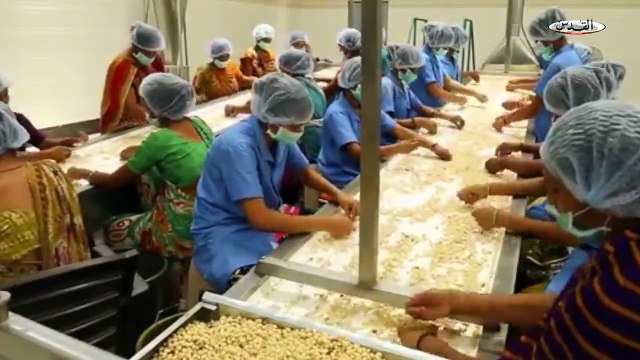 ‫القدس - alquds - #القدس_اكسترا - شاهد كيف يتم إنتاج الفستق -الفول...‬