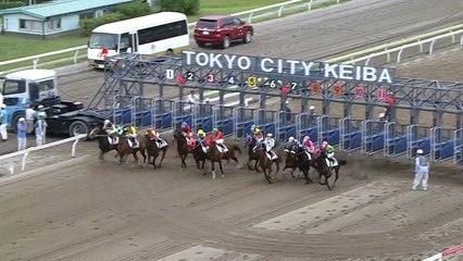 June 7th 2017 Race 6-