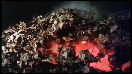 109.Evil Dead - 1981 Trailer (18)