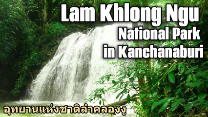 Lam Khlong Ngu National Park in Kanchanaburi กาญจนบุรี