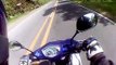 443.Dog vs Motorcycle rider caught on cam helmet accident crash